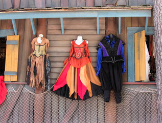 Renaissance Clothing