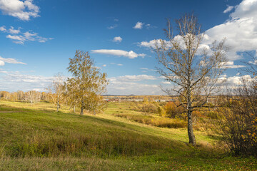 Obraz na płótnie Canvas Beautiful autumn landscape in the Novosibirsk region, the Village of Sarapulka