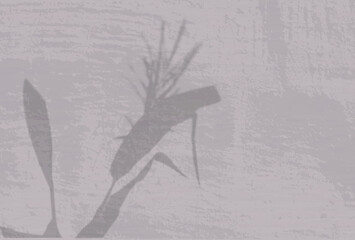 Natural light casts shadows from a Spikelets and leaves of the plant flowers on the beige wall. The effect of shadows. Transparent soft light and shadows from the branches