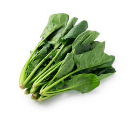 Spinach on a white background