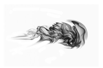 abstract black smoke  fire flame on white background