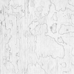texture of mold on old white wood abstract nature background