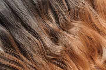close up texture of single piece clip in wavy black blended to red two tone ombre style synthetic ...