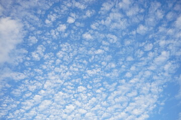 Fototapeta na wymiar Cirrocumulus clouds on blue sky background, autumn sky - 秋のうろこ雲