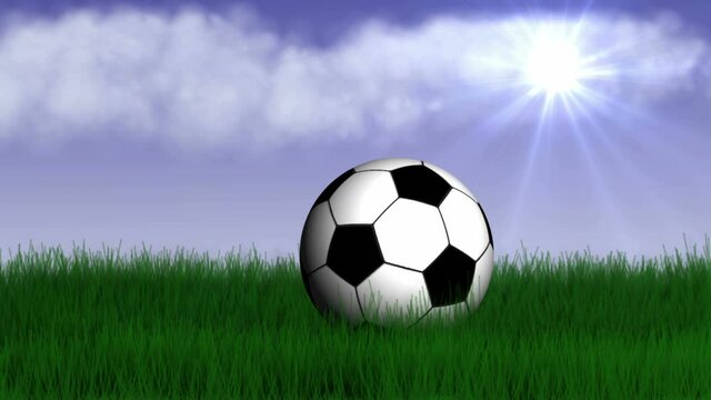 Soccer Ball on the Green Field Animation, 4k
