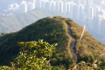 17 Nov  2007 The nature view of sai kung at Razor Hill hk