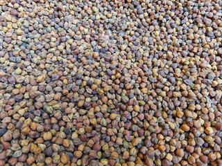 Dried black and golden chickpeas as an abstract background