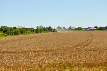 Fototapeta na wymiar Combine harvester in action on wheat field. Process of gathering a ripe crop.