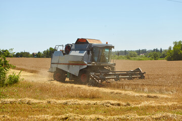 Fototapeta premium Combine harvester in action on wheat field. Process of gathering a ripe crop.