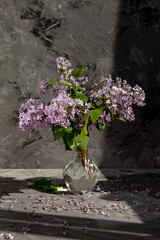 Purple and pink lilac flowers. Bouquet of lilac in glass vase on Against a gray concrete wall. With space for your text - Image