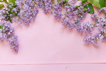 Purple and pink lilac flowers. Bouquet of lilac on pink background. With space for your text - Image