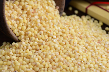 Sorghum Rice on the background of retro Chinese style