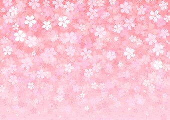 桜の花が一面に咲く横長の背景イラスト vol.01