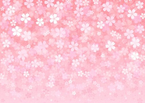 桜の花が一面に咲く横長の背景イラスト vol.01