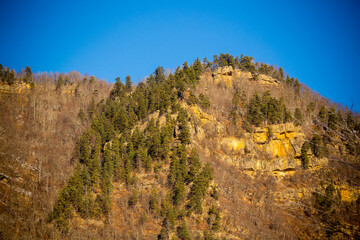 Beautiful mountain landscape with forest at Caucasus mountains.