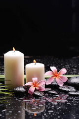 Fototapeta na wymiar spa still life of with two pink frangipani and green palm and two candle zen black stones ,wet background 