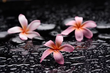 Gordijnen spa still life of with three pink  frangipani and zen black stones ,wet background  © Mee Ting