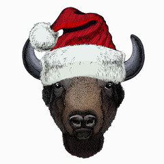 Vector bison head. Christmas red Santa Claus hat. Portrait of bull, buffalo. © helen_f