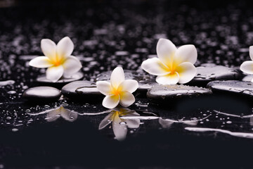 Fototapeta na wymiar spa still life of with three white frangipani and zen black stones ,wet background 