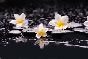 Wandaufkleber Spa-Stillleben mit drei weißen Frangipani und schwarzen Zen-Steinen, nasser Hintergrund © Mee Ting