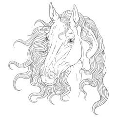 Coloring. Portrait of a horse with a long mane