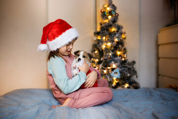 Obraz na płótnie Canvas Cute Funny Caucasian girl child in red Santa hat holding embrace puppy Jack Russell, funny New Year's photo of children and puppies, Christmas gift, dream about pet, puppy and child communications
