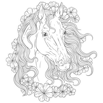 Coloring. Portrait of a horse with a long mane