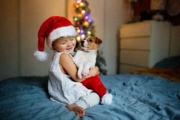Obraz na płótnie Canvas Cute Funny toddler child in red Santa hat holding embrace puppy Jack Russell, funny New Year's photo of children and puppies, Christmas gift, dream about pet, puppy and child communications