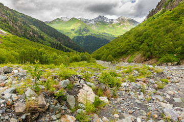 Obraz premium Beautiful mountain landscape with forest at Caucasus mountains.