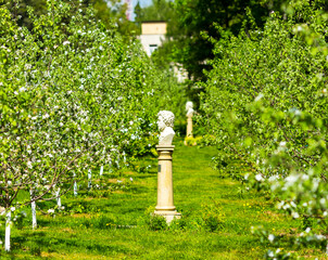 Beautiful spring garden alley view with Pushkin statue