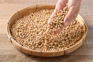 Soybeans seed holding by hand and pouring on bamboo tray