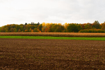 a colorful autumn landscape with fields and trees