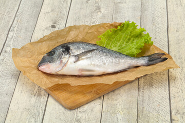 Raw Dorada fish  for cooking