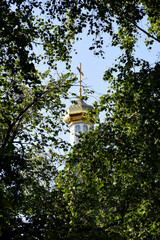 church in the forest