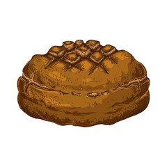 round rye bread isolated on white. hand drawn traditional brown rustic loaf doodle icon. fresh baked. color sketch in vintage engraving style. illustration for poster, label, menu bakery shop