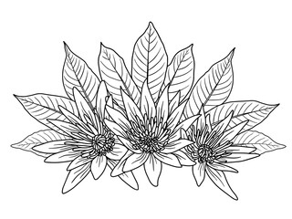 Flowers Line Art Arrangements. You use on greeting card, frame, shopping bags, wall art, wedding invitation, decorations, and t-shirts