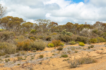 Fototapeta na wymiar beautiful Landscape east of Hoeptoun in Western Australia