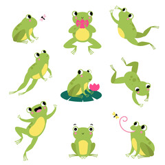 Cute Green Frog Jumping, Sitting on Leaf and Catching Fly Vector Set