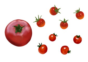 トマト　ミニトマト　セット　線画なし
