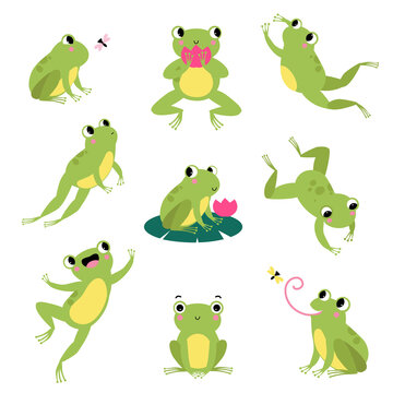Frog Cartoon Images – Browse 96,738 Stock Photos, Vectors, and Video