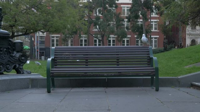 bench Melbourne during COVID-19/Coronavirus Lockdown