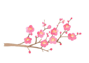 梅の枝　カットイラスト