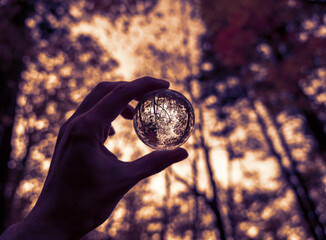 Fototapeta na wymiar Hand held lensball in autumn forest. Selective focus with shallow depth of field.