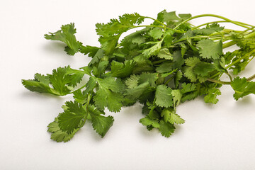 Green coriander or cilanto leaves heap