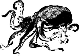 墨で描いたアートなタコのイラスト © foolchico