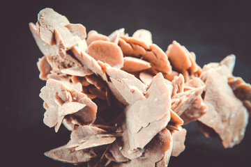 Desert rose crystal isolated on black background