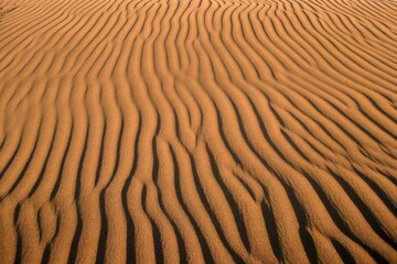 Huge Dunas de Maspalomas on Gran Canaria, Canary Islands, 
Spain. This is one of the wonders of nature.