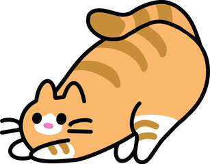 Cute red cat on a white background