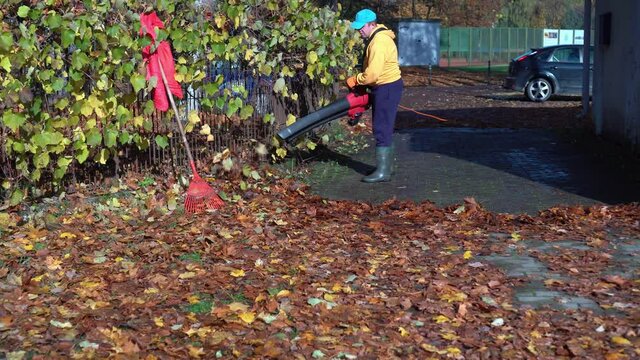 Male worker raking autumn leaves from pathway
