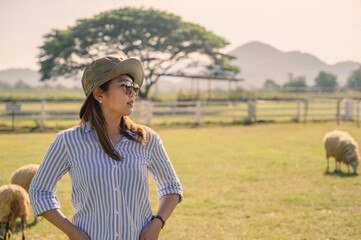 Female farmer working and looking on Sheep farm.,Agriculture mature female farmer standing against Sheep in stable or farm countryside.
